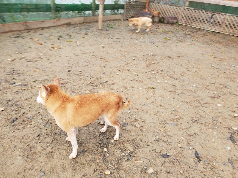 f:id:roukenhome-ann:20191213181909j:plain f:id:roukenhome-ann:20191213181909j:plain