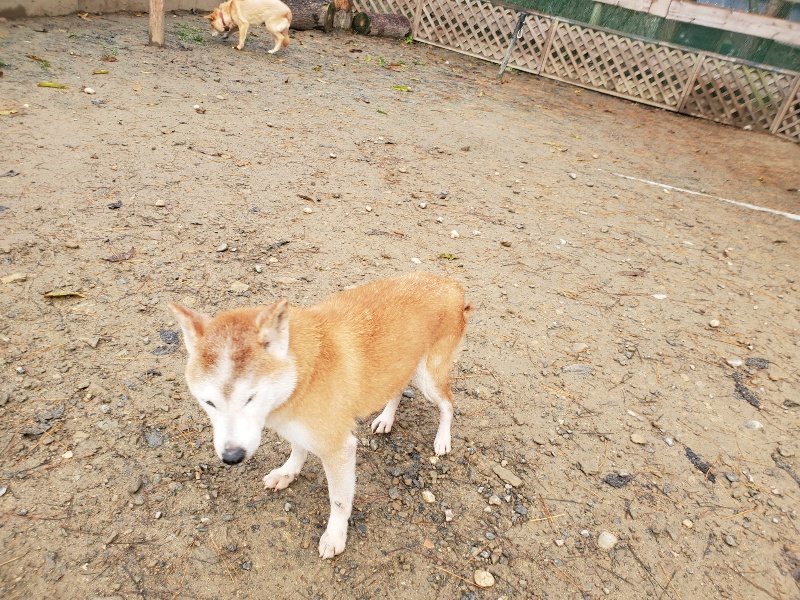 f:id:roukenhome-ann:20191213181933j:plain f:id:roukenhome-ann:20191213181933j:plain