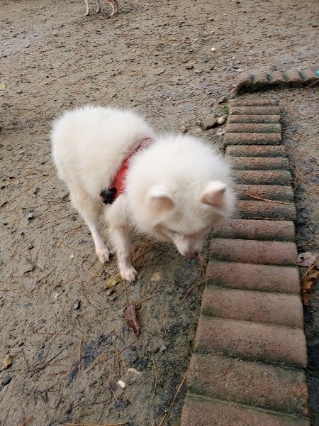f:id:roukenhome-ann:20191213181952j:plain f:id:roukenhome-ann:20191213181952j:plain