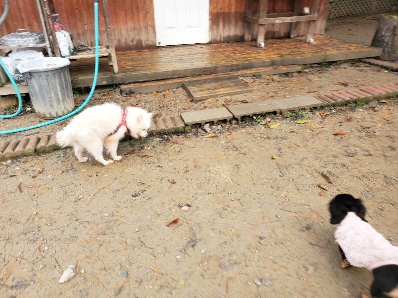 f:id:roukenhome-ann:20191213182013j:plain f:id:roukenhome-ann:20191213182013j:plain