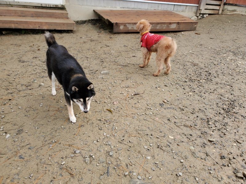 f:id:roukenhome-ann:20191213182033j:plain f:id:roukenhome-ann:20191213182033j:plain