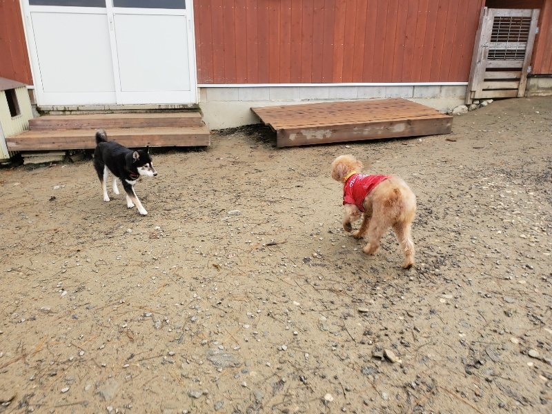 f:id:roukenhome-ann:20191213182042j:plain f:id:roukenhome-ann:20191213182042j:plain