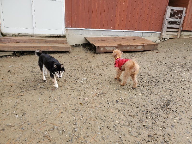 f:id:roukenhome-ann:20191213182050j:plain f:id:roukenhome-ann:20191213182050j:plain