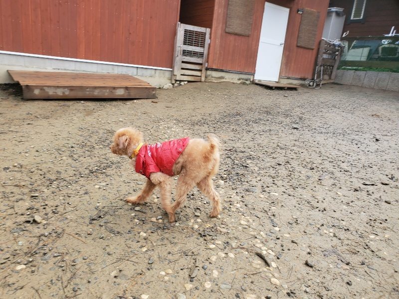 f:id:roukenhome-ann:20191213182105j:plain f:id:roukenhome-ann:20191213182105j:plain