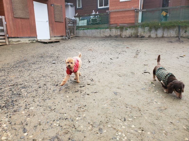 f:id:roukenhome-ann:20191213182117j:plain f:id:roukenhome-ann:20191213182117j:plain