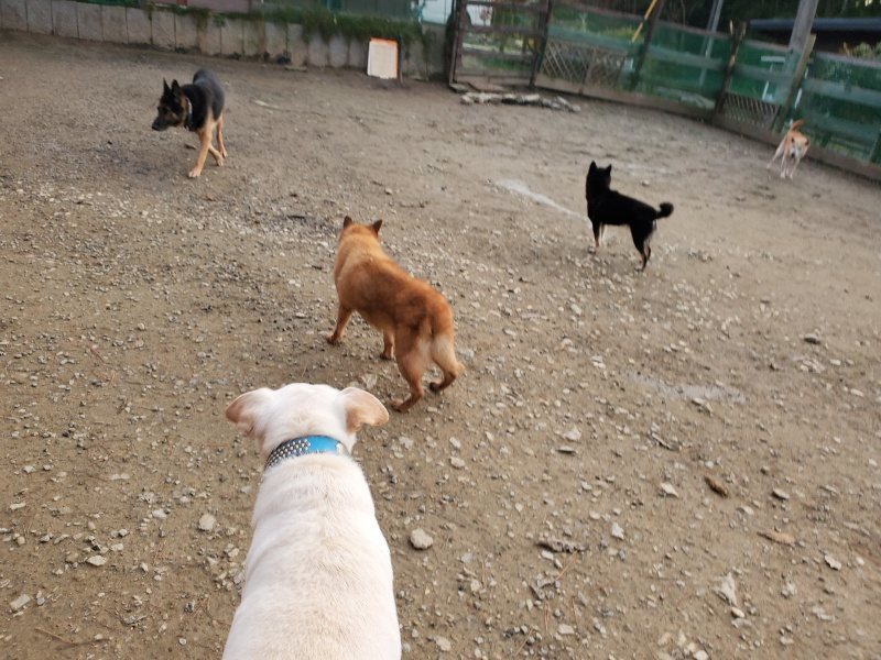 f:id:roukenhome-ann:20191213200446j:plain
