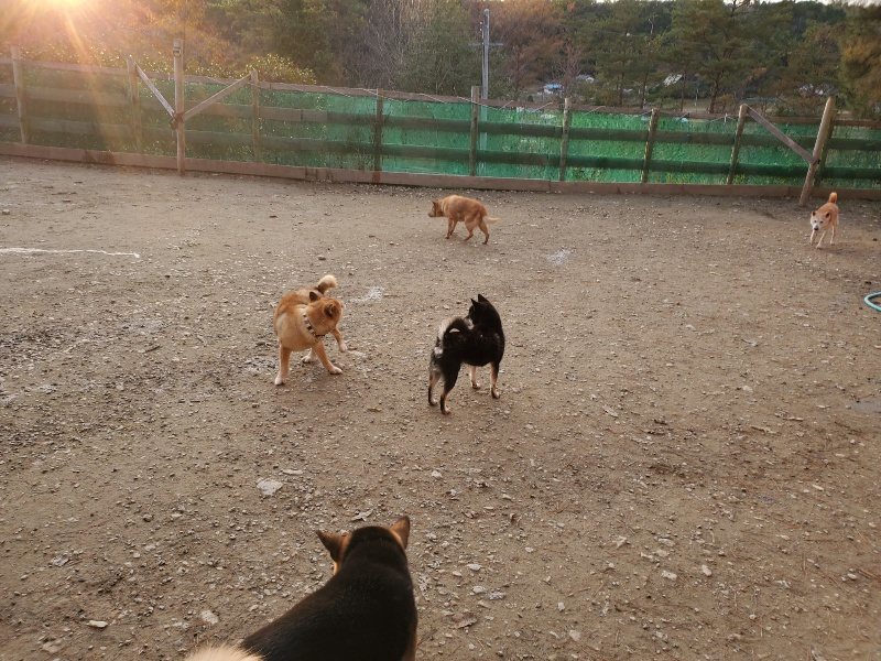f:id:roukenhome-ann:20191213204844j:plain