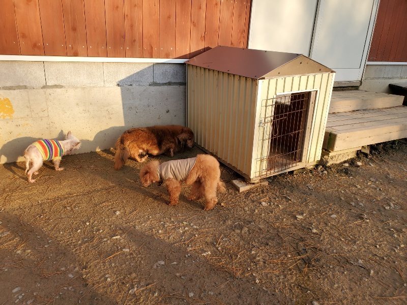 f:id:roukenhome-ann:20191213212637j:plain