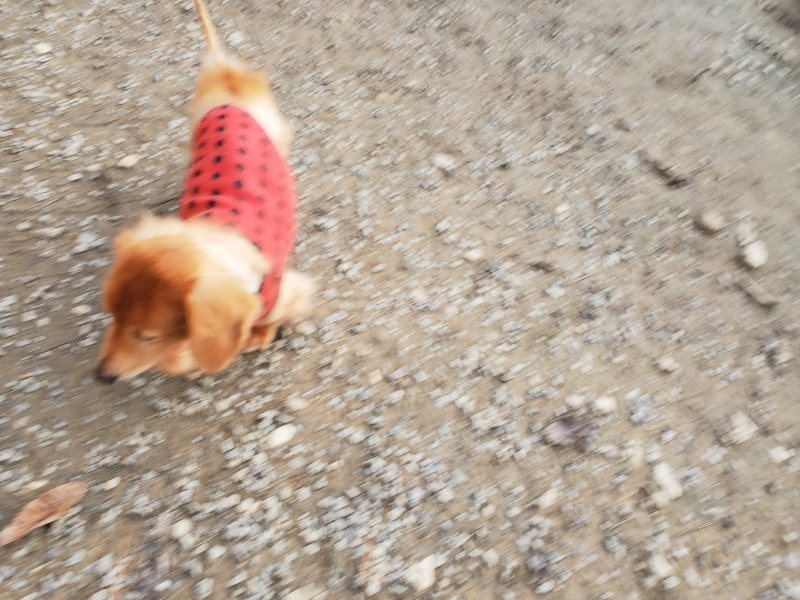 f:id:roukenhome-ann:20191213214901j:plain f:id:roukenhome-ann:20191213214901j:plain