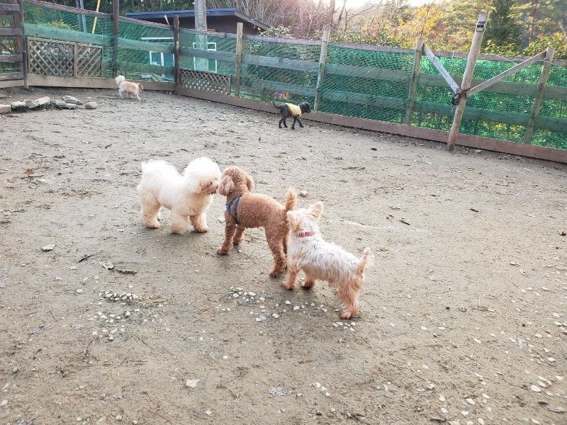 f:id:roukenhome-ann:20191213214925j:plain f:id:roukenhome-ann:20191213214925j:plain