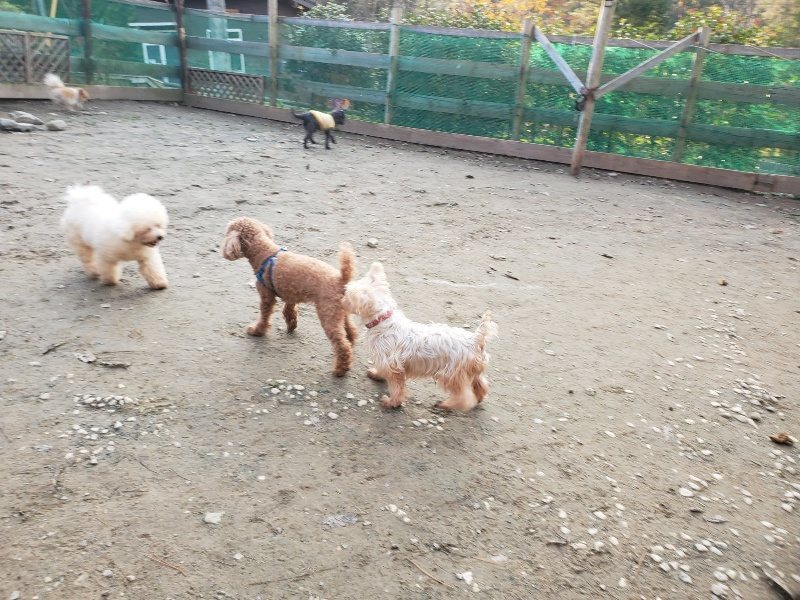 f:id:roukenhome-ann:20191213214936j:plain f:id:roukenhome-ann:20191213214936j:plain