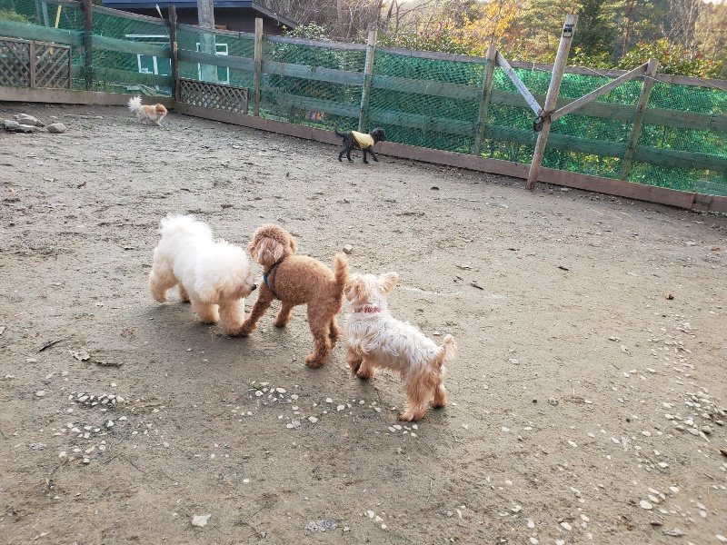 f:id:roukenhome-ann:20191213214952j:plain f:id:roukenhome-ann:20191213214952j:plain