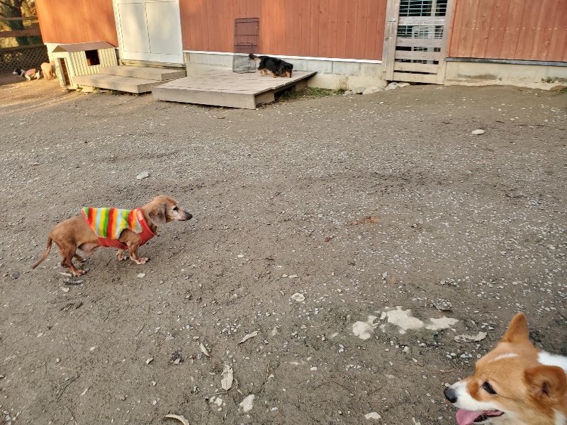 f:id:roukenhome-ann:20191213215009j:plain f:id:roukenhome-ann:20191213215009j:plain