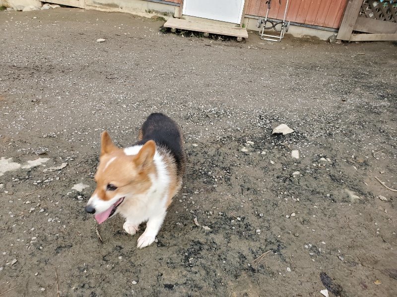 f:id:roukenhome-ann:20191213215027j:plain f:id:roukenhome-ann:20191213215027j:plain