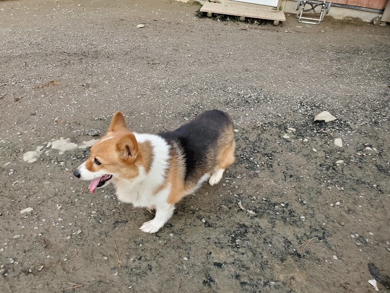 f:id:roukenhome-ann:20191213215037j:plain f:id:roukenhome-ann:20191213215037j:plain