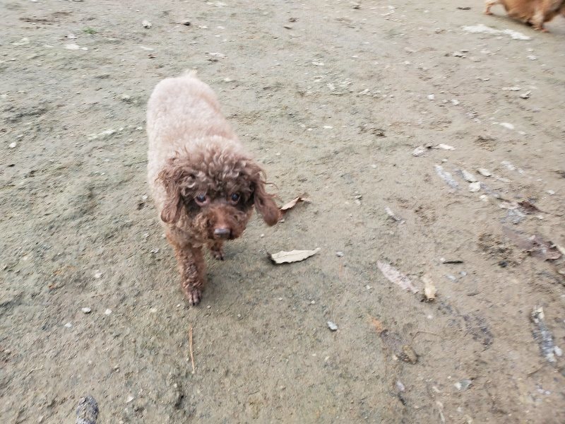 f:id:roukenhome-ann:20191213215049j:plain f:id:roukenhome-ann:20191213215049j:plain