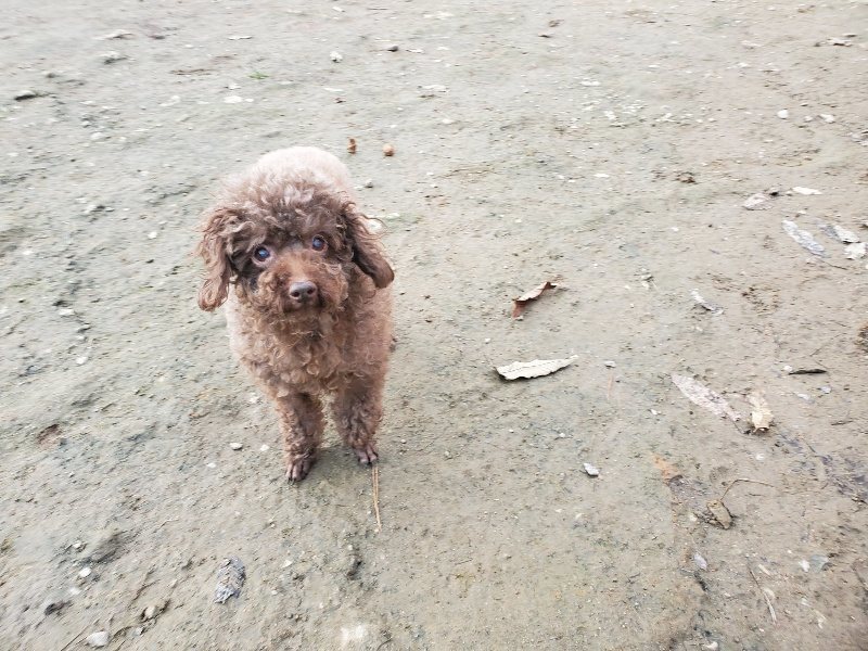 f:id:roukenhome-ann:20191213215105j:plain f:id:roukenhome-ann:20191213215105j:plain