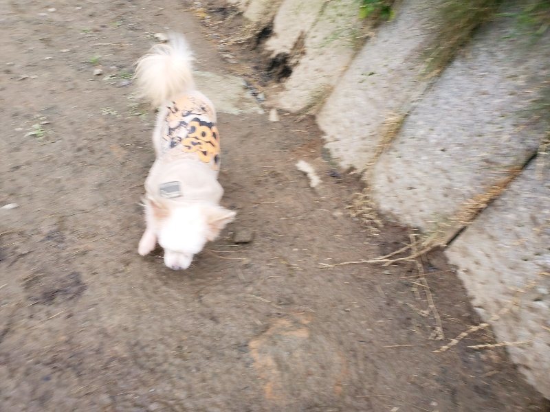 f:id:roukenhome-ann:20191213215130j:plain f:id:roukenhome-ann:20191213215130j:plain