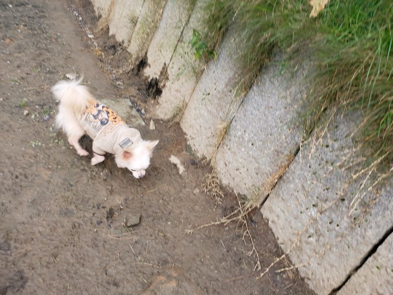 f:id:roukenhome-ann:20191213215149j:plain f:id:roukenhome-ann:20191213215149j:plain