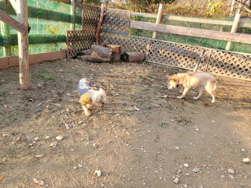 f:id:roukenhome-ann:20191213215221j:plain f:id:roukenhome-ann:20191213215221j:plain
