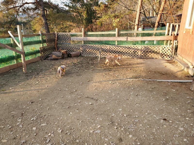 f:id:roukenhome-ann:20191213215325j:plain f:id:roukenhome-ann:20191213215325j:plain