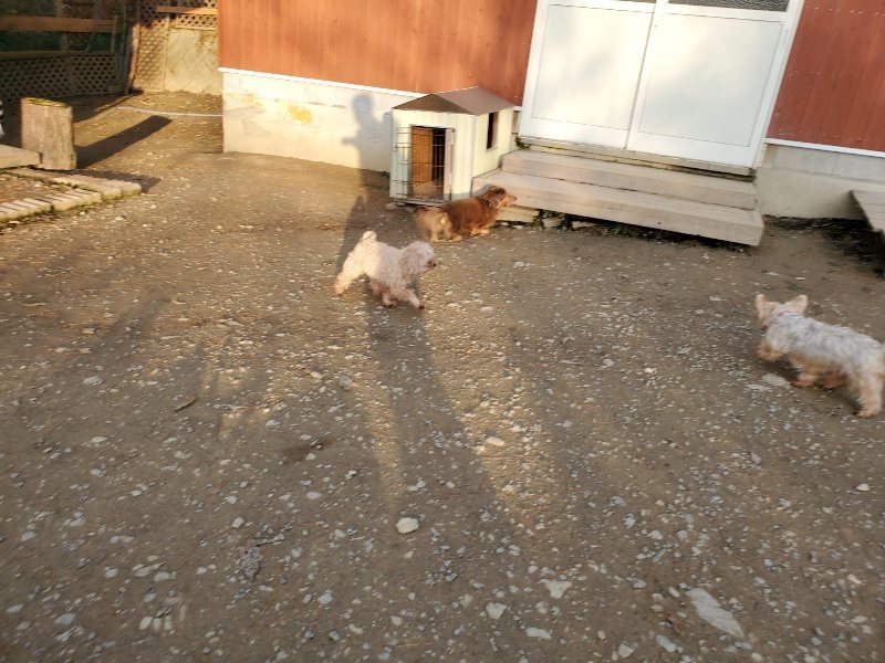 f:id:roukenhome-ann:20191213215335j:plain f:id:roukenhome-ann:20191213215335j:plain