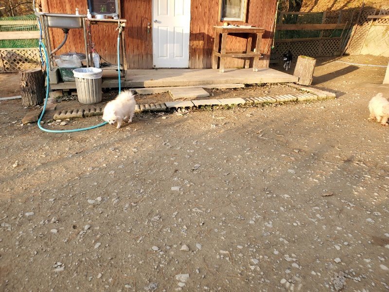f:id:roukenhome-ann:20191213215404j:plain f:id:roukenhome-ann:20191213215404j:plain