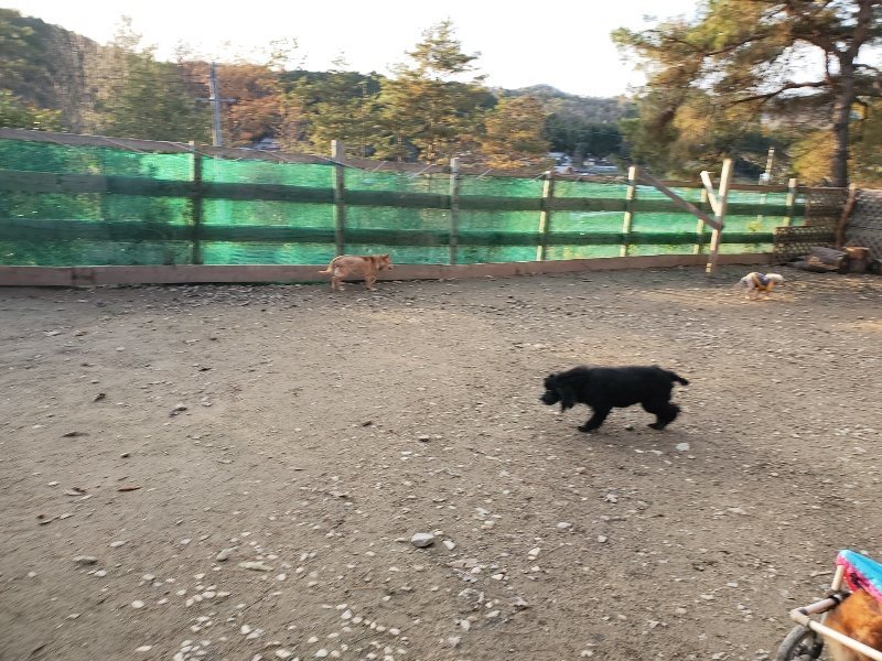f:id:roukenhome-ann:20191213215426j:plain f:id:roukenhome-ann:20191213215426j:plain