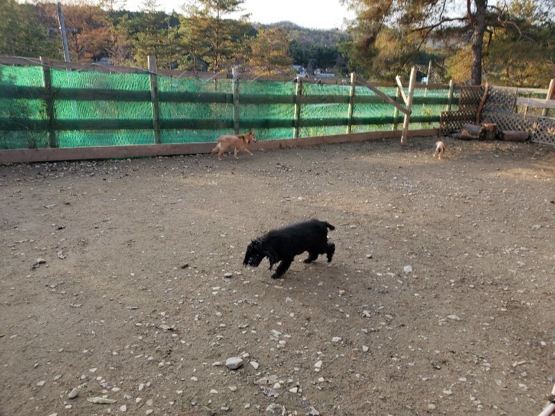 f:id:roukenhome-ann:20191213215433j:plain f:id:roukenhome-ann:20191213215433j:plain