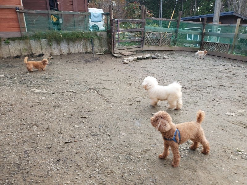 f:id:roukenhome-ann:20191213215500j:plain f:id:roukenhome-ann:20191213215500j:plain