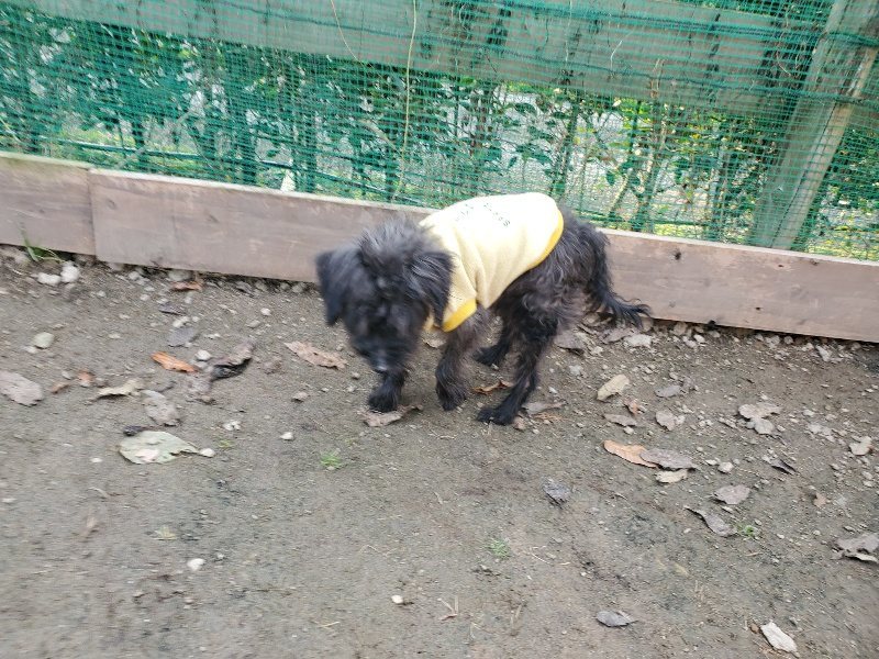 f:id:roukenhome-ann:20191213220129j:plain f:id:roukenhome-ann:20191213220129j:plain