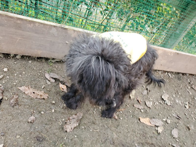 f:id:roukenhome-ann:20191213220200j:plain f:id:roukenhome-ann:20191213220200j:plain