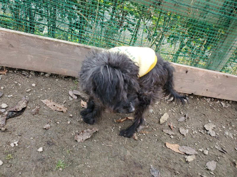 f:id:roukenhome-ann:20191213220217j:plain f:id:roukenhome-ann:20191213220217j:plain