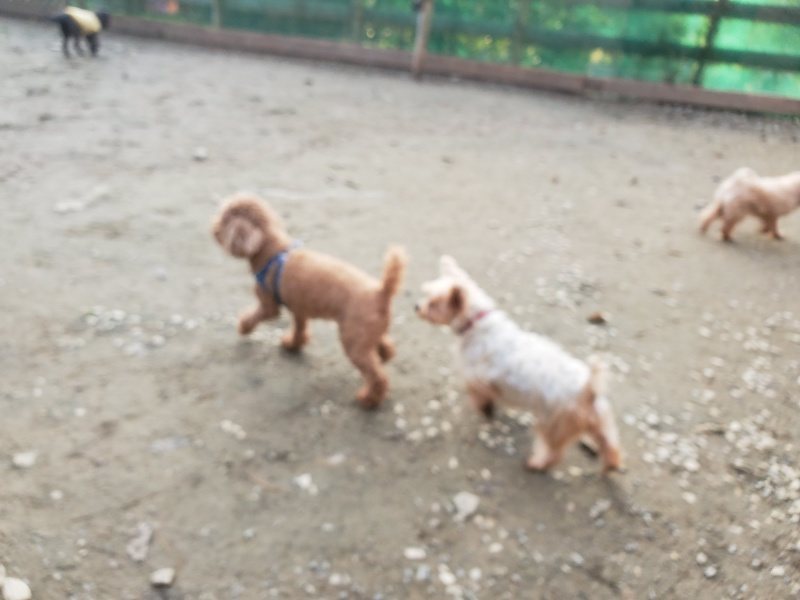 f:id:roukenhome-ann:20191213220224j:plain f:id:roukenhome-ann:20191213220224j:plain