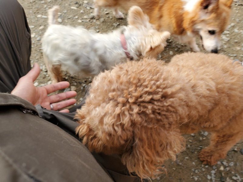 f:id:roukenhome-ann:20191213220316j:plain f:id:roukenhome-ann:20191213220316j:plain