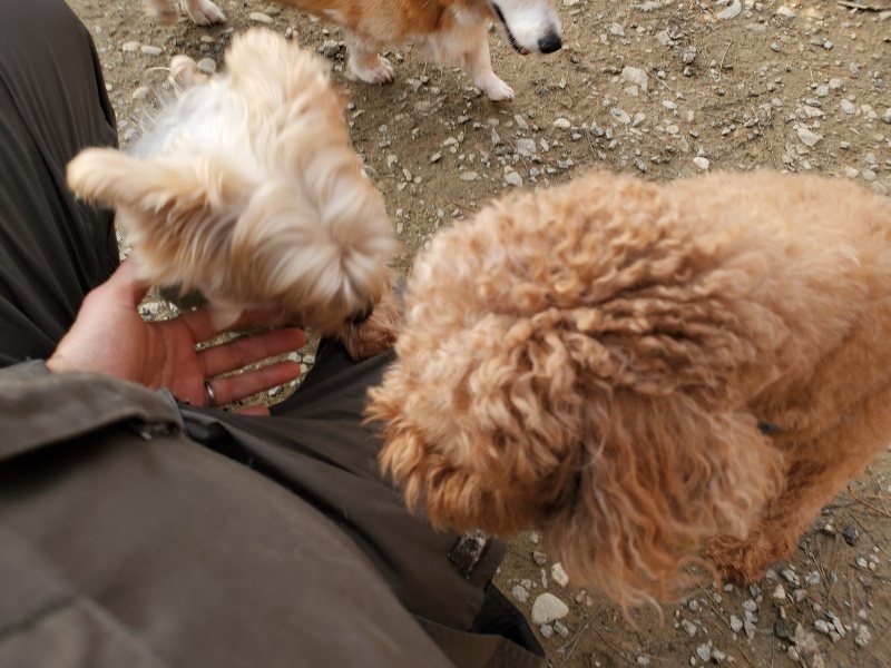 f:id:roukenhome-ann:20191213220328j:plain f:id:roukenhome-ann:20191213220328j:plain