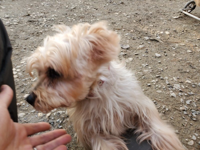 f:id:roukenhome-ann:20191213220427j:plain f:id:roukenhome-ann:20191213220427j:plain