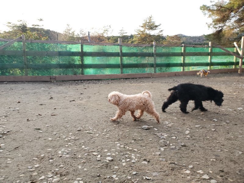 f:id:roukenhome-ann:20191213220520j:plain f:id:roukenhome-ann:20191213220520j:plain