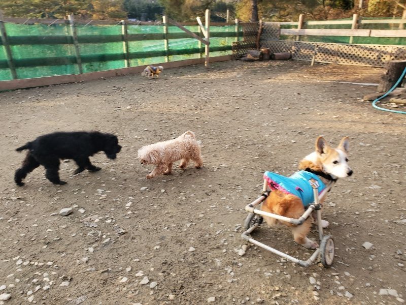 f:id:roukenhome-ann:20191213220528j:plain f:id:roukenhome-ann:20191213220528j:plain