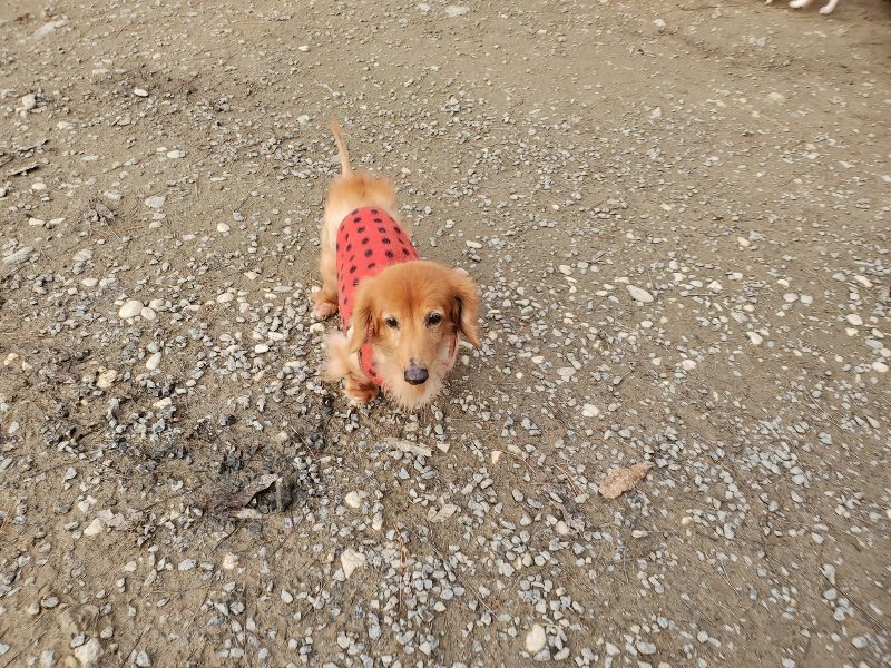f:id:roukenhome-ann:20191213220556j:plain f:id:roukenhome-ann:20191213220556j:plain