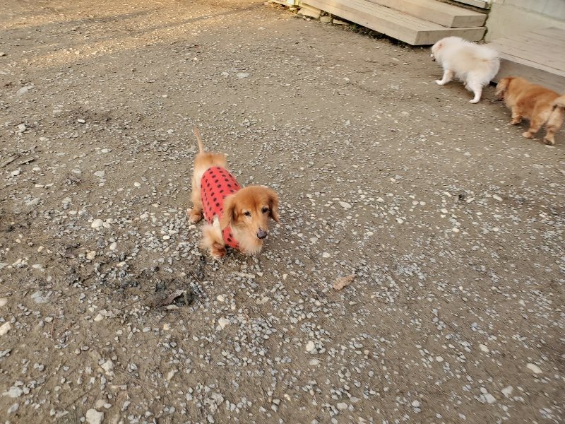 f:id:roukenhome-ann:20191213220616j:plain f:id:roukenhome-ann:20191213220616j:plain