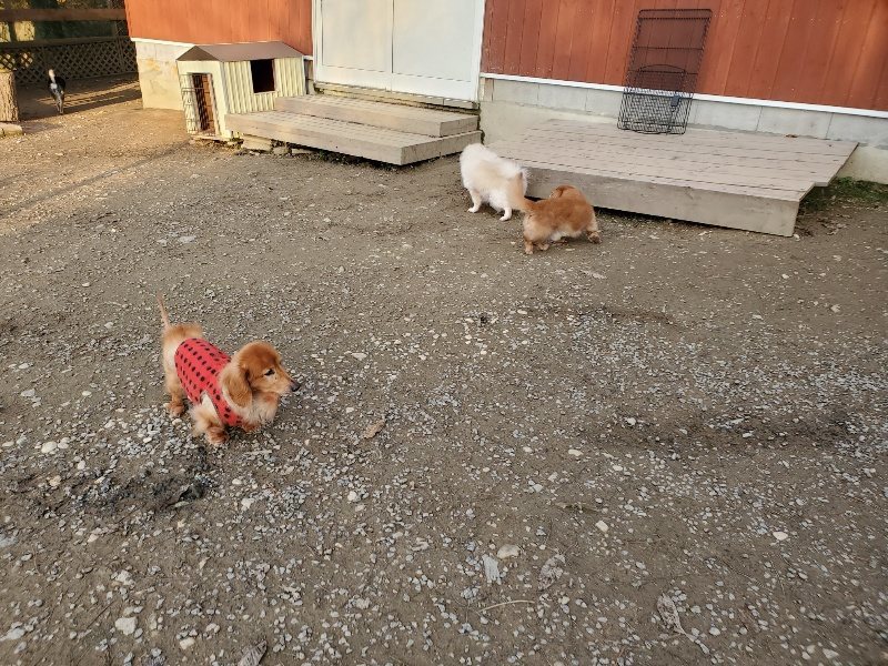 f:id:roukenhome-ann:20191213220632j:plain f:id:roukenhome-ann:20191213220632j:plain