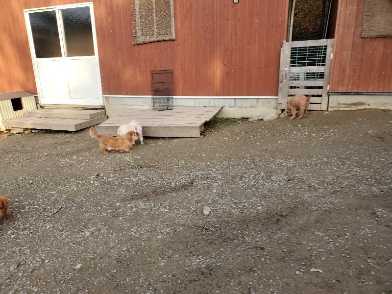 f:id:roukenhome-ann:20191213220638j:plain f:id:roukenhome-ann:20191213220638j:plain