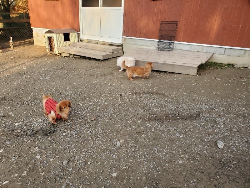 f:id:roukenhome-ann:20191213220648j:plain f:id:roukenhome-ann:20191213220648j:plain