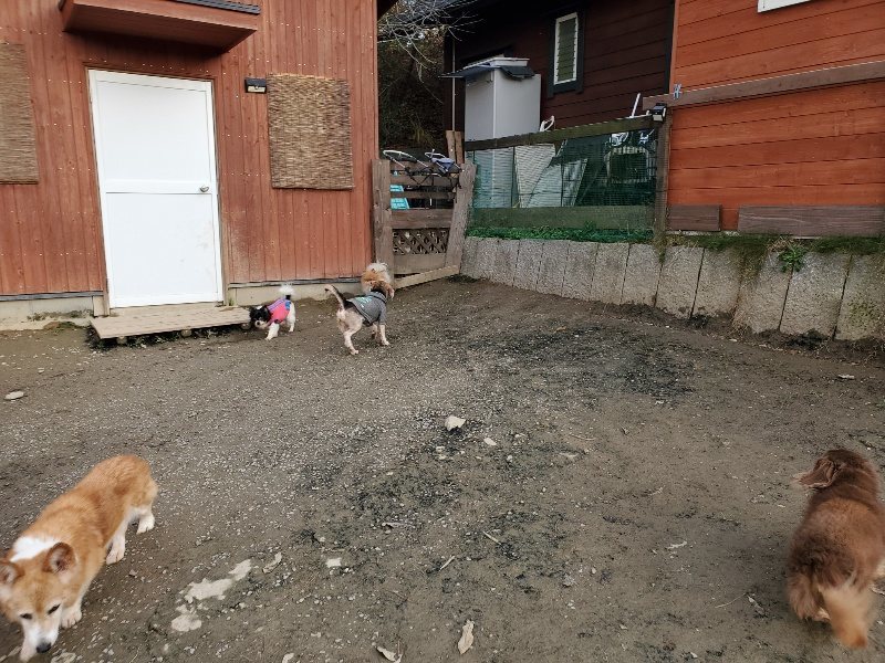 f:id:roukenhome-ann:20191213220655j:plain f:id:roukenhome-ann:20191213220655j:plain