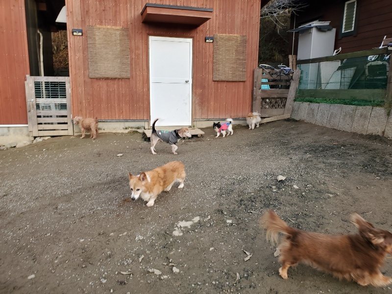 f:id:roukenhome-ann:20191213220703j:plain f:id:roukenhome-ann:20191213220703j:plain