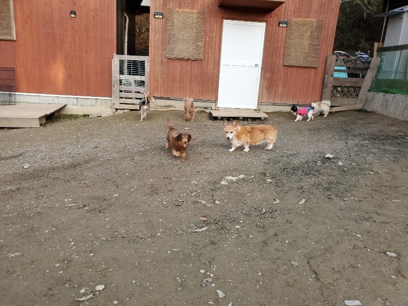 f:id:roukenhome-ann:20191213220723j:plain f:id:roukenhome-ann:20191213220723j:plain