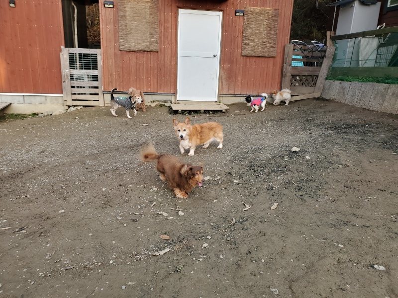 f:id:roukenhome-ann:20191213220731j:plain f:id:roukenhome-ann:20191213220731j:plain