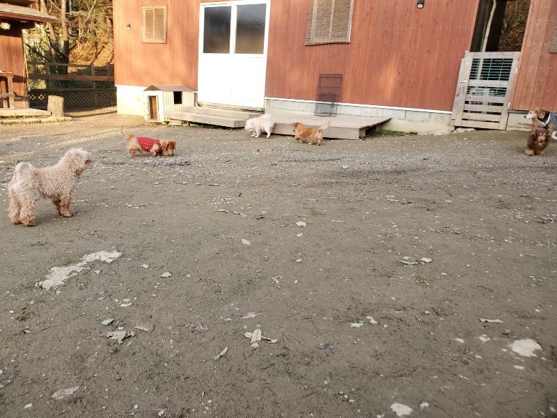 f:id:roukenhome-ann:20191213220738j:plain f:id:roukenhome-ann:20191213220738j:plain
