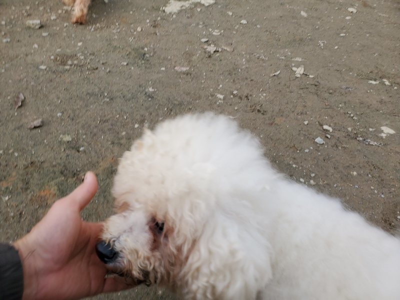 f:id:roukenhome-ann:20191213220744j:plain f:id:roukenhome-ann:20191213220744j:plain